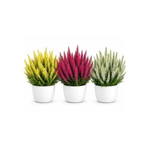 Calluna/ Vrijesak, kom